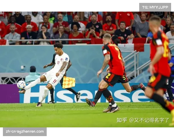 2017欧洲杯冠军揭示欧洲足球力量的新格局与未来发展之路